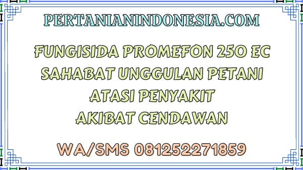 Fungisida Promefon 250 EC Sahabat Unggulan Petani Atasi Penyakit Akibat Cendawan